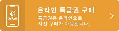 e-ticket