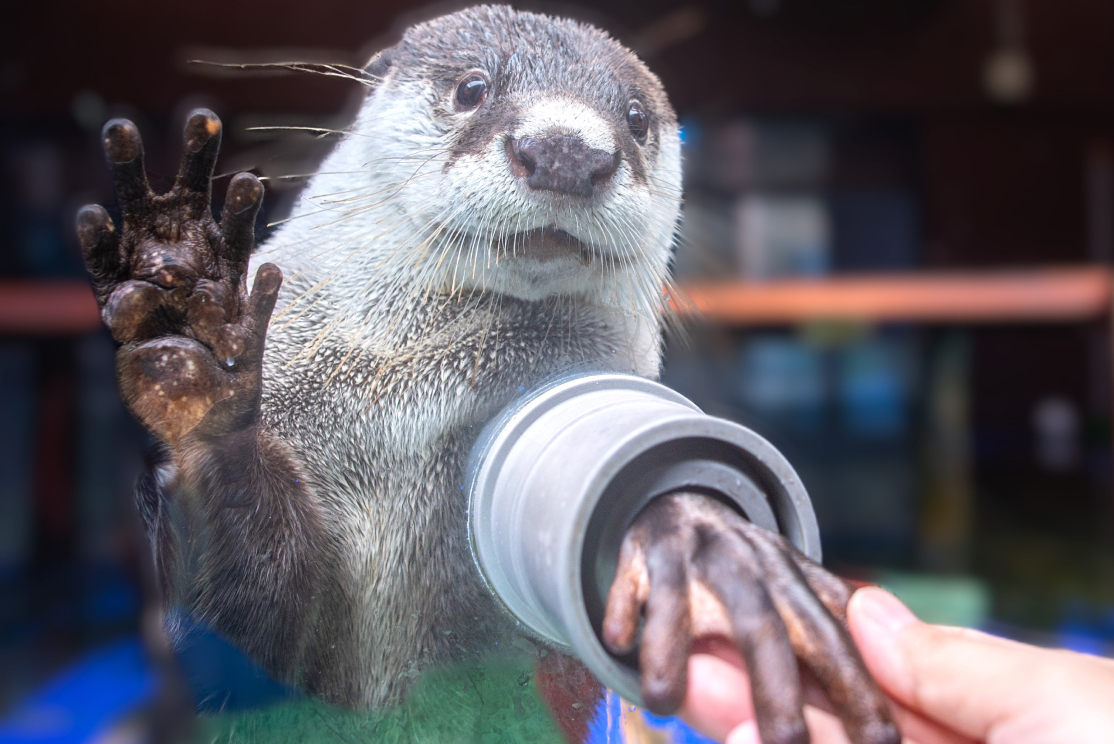 零距离水族馆 伊势海洋乐园