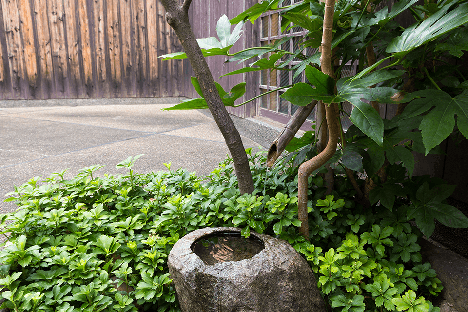 ©Kizakura kappa country.