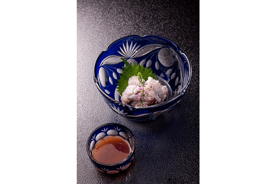 &copy;Kyoto Media Support Center