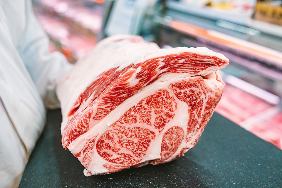 &copy;마쓰사카 시청