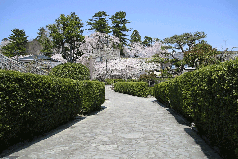 &copy;마쓰사카 시청