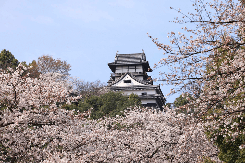 ©National Treasure Inuyama Castle.