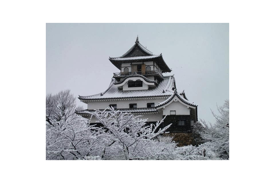 ©National Treasure Inuyama Castle.