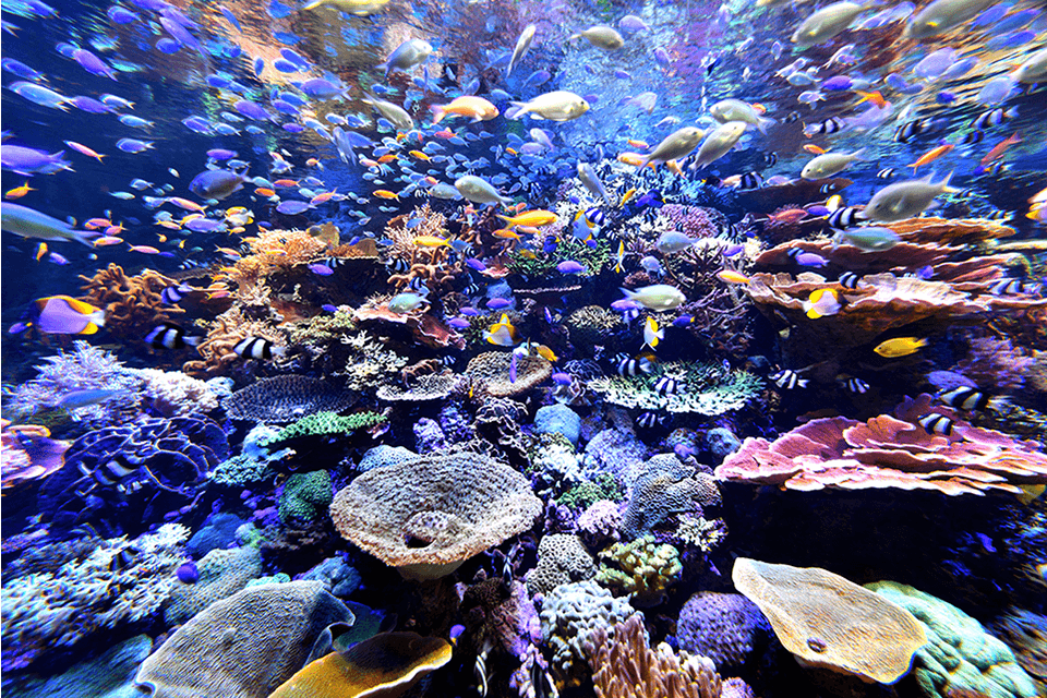 ©Port of Nagoya Public Aquarium