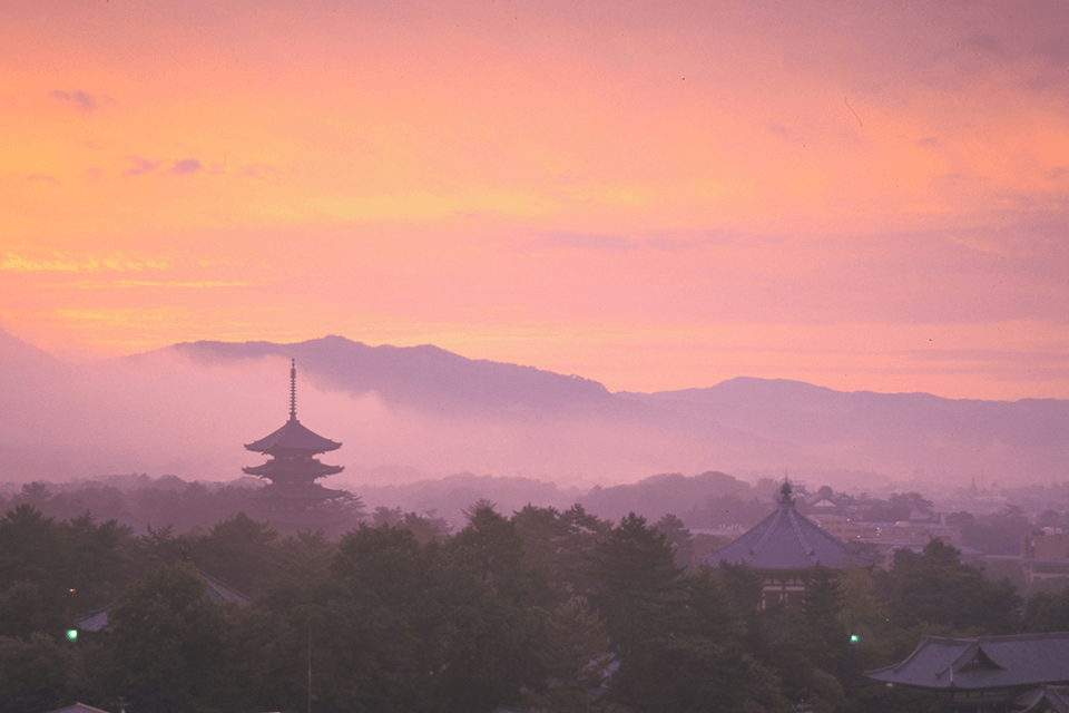 Photo by Nara City Tourism Association