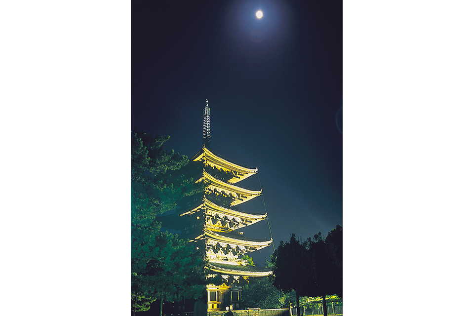 Photo by Nara City Tourism Association