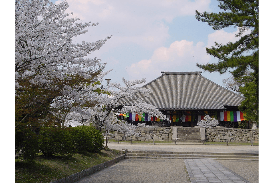 ©Nara Visitors Bureau