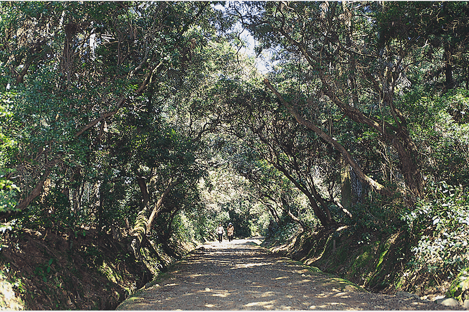 Photo by Nara City Tourism Association