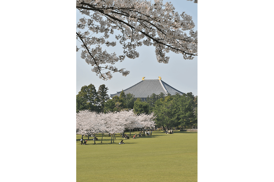 Photo by Nara City Tourism Association