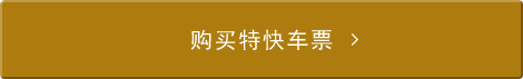 购买特快车票