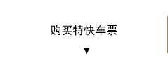 购买特快车票