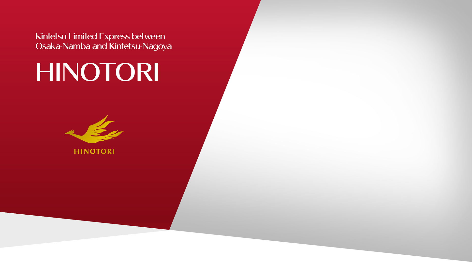 HINOTORI, Kintetsu Limited Express between Osaka-Namba and Kintetsu-Nagoya