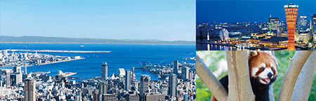 神戸街めぐり１ｄａｙクーポン