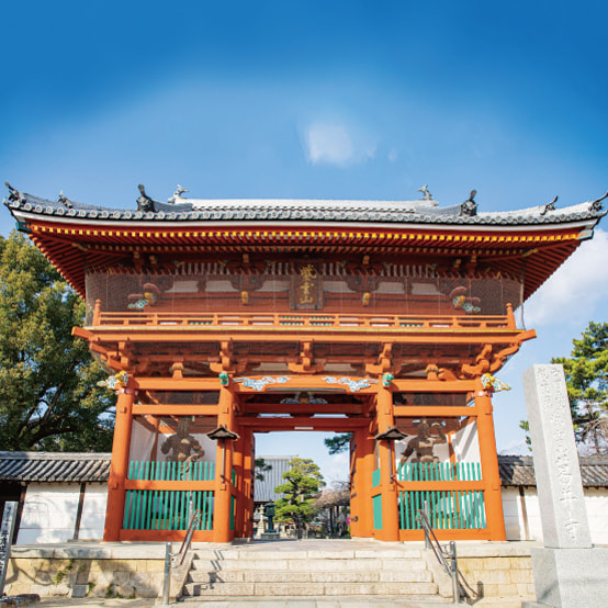 葛井寺(ふじいでら)の写真