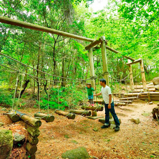 三重県民の森の写真
