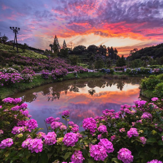 かざはやの里の写真