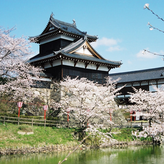 郡山城跡の写真