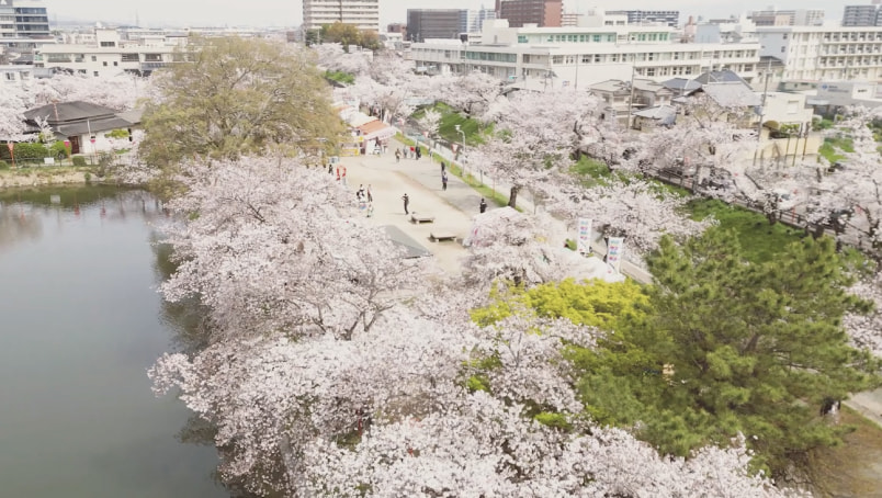大和高田エリアの写真