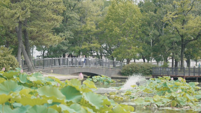 八尾エリアの写真