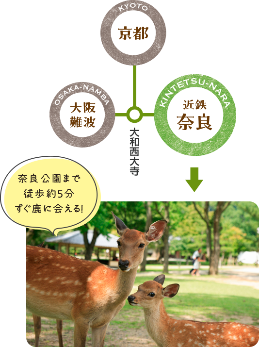奈良公園
