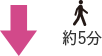 約5分