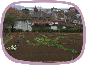 干支ジャンボ花絵