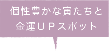 個性豊かな寅たちと金運UPスポット