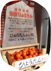 融通ひょうたん