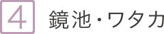 5.鏡池・ワタカ