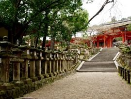 参道に並ぶ石燈籠