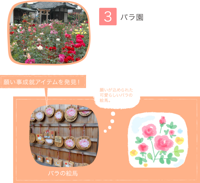 3.バラ園