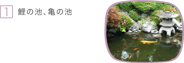 1.鯉の池、亀の池