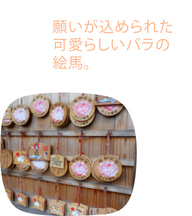 バラの絵馬