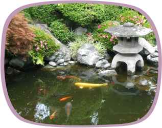 鯉の池、亀の池