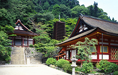 談山神社