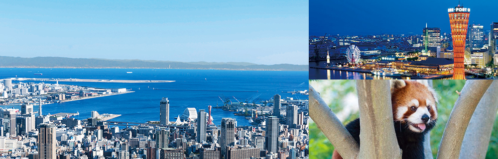 神戸の定番スポットが、お得に!便利に!この1枚で楽しめる!