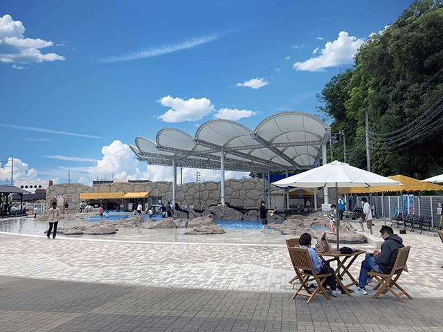 
                                                海ほうづき施設の写真。
                                                