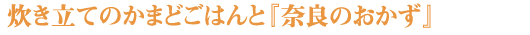 炊き立てのかまどごはんを奈良のおかずで