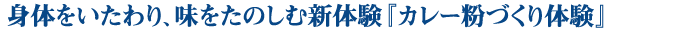 身体をいたわり、味をたのしむ新体験　カレー粉づくり体験