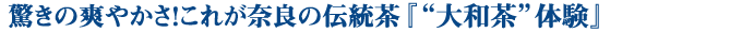 驚きの爽やかさ！これが奈良の伝統茶　“大和茶”体験