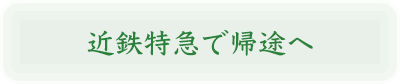近鉄特急で帰途
