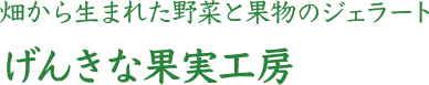 畑から生まれた野菜と果物のジェラート げんきな果実工房