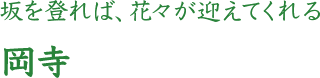 坂を登れば、花々が迎えてくれる 岡寺