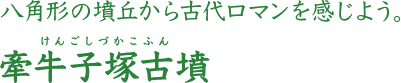 八角形の方墳から古代ロマンを感じよう。牽牛子塚古墳