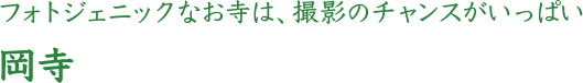 フォトジェニックなお寺は、写真のチャンスがいっぱい 岡寺