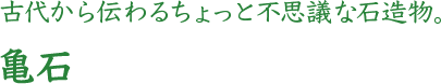 古代から伝わるちょっと不思議な石造物。　亀石