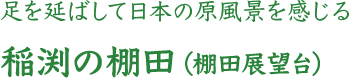 足を延ばして日本の原風景を感じる 稲渕の棚田（棚田展望台）