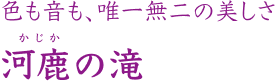 色も音も、唯一無二の美しさ 河鹿の滝