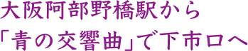 大阪阿部野橋駅から「青の交響曲」で下市口へ